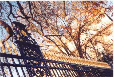 Grilles dorées du Jardin public de Bordeaux