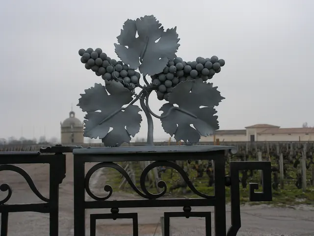 Grappe et feuilles de vigne en fer, au-dessus des vignes