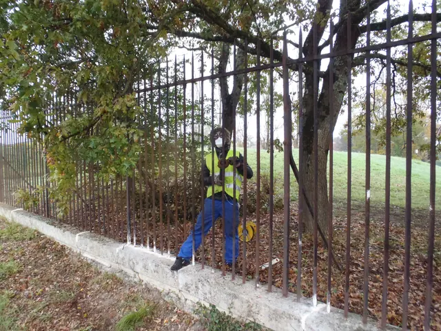 Restauration des grilles du château de Thouars, sur place